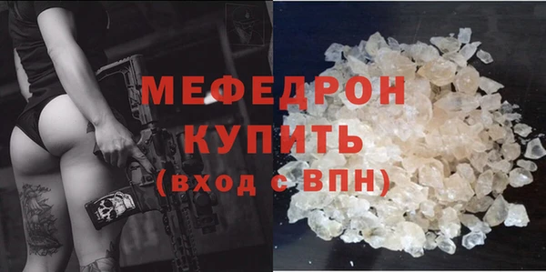 индика Гусь-Хрустальный