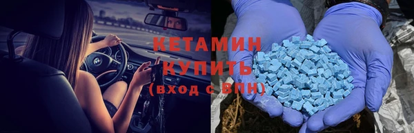 индика Гусь-Хрустальный