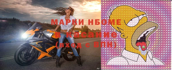 индика Гусь-Хрустальный