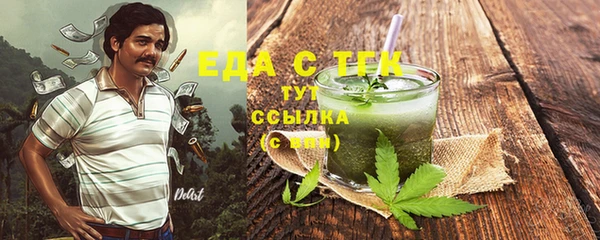 индика Гусь-Хрустальный