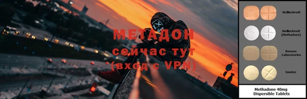 индика Гусь-Хрустальный