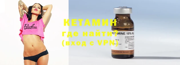 индика Гусь-Хрустальный
