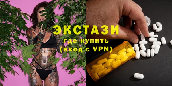 индика Гусь-Хрустальный