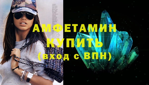 индика Гусь-Хрустальный