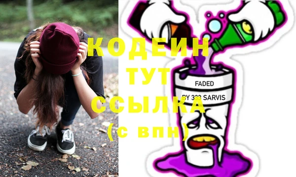 индика Гусь-Хрустальный