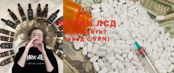 индика Гусь-Хрустальный