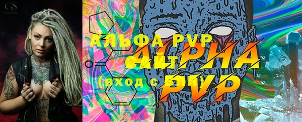 индика Гусь-Хрустальный