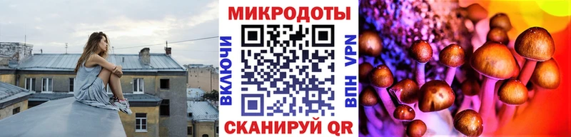 Галлюциногенные грибы мицелий  Кукмор 